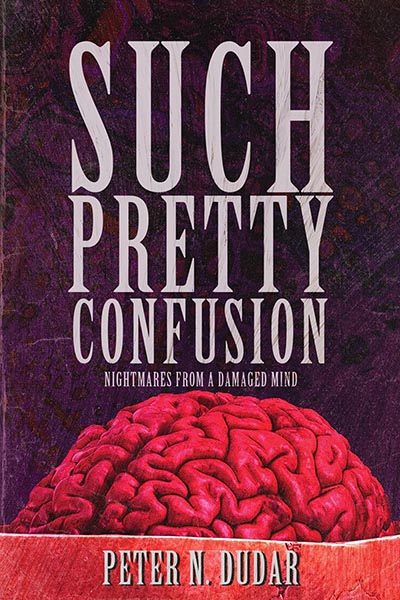 Such Pretty Confusion: Nightmares from a Damaged Mind by Peter N. Dudar